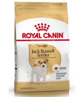 Royal Canin Jack Russel adulto