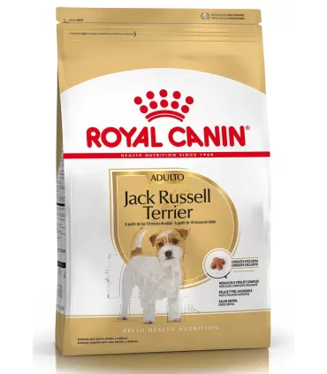 Royal Canin Jack Russel adulto