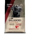 Vital Can Balanced Natural Recipe Carne 15kg