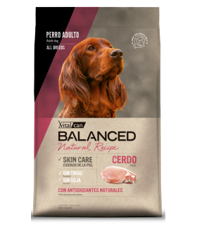 Vital Can Balanced Natural Recipe Cerdo 15kg