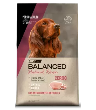 Vital Can Balanced Natural Recipe Cerdo 15kg