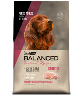 Vital Can Balanced Natural Recipe Cerdo 15kg