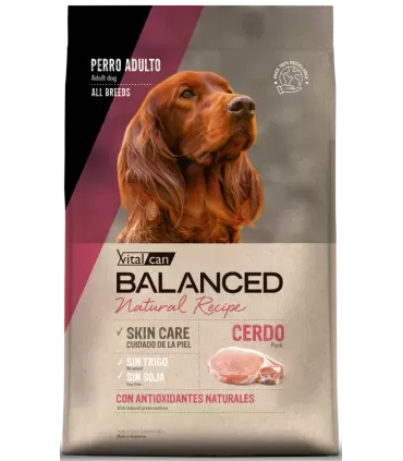 Vital Can Balanced Natural Recipe Cerdo 15kg