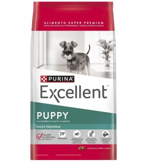 Excellent Cachorro raza pequeña