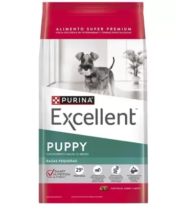 Excellent Cachorro raza pequeña