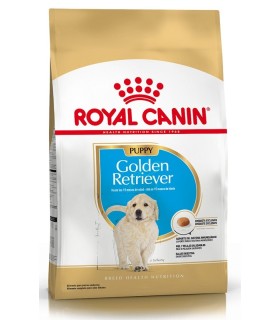 Royal Canin Golden Puppy