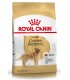 Royal Canin Golden Retriever Adult