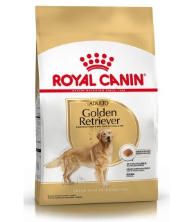 Royal Canin Golden Retriever Adult