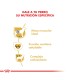 Royal Canin Boxer Adult 12kg | Alimento Premium para Perros Adultos
