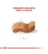 Royal Canin Boxer Adult 12kg | Alimento Premium para Perros Adultos