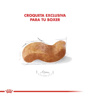 Royal Canin Boxer Adult 12kg | Alimento Premium para Perros Adultos