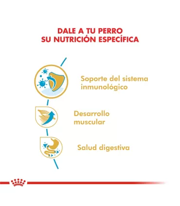 Alimento para perros Royal Canin Boxer  Junior 12kg