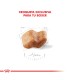 Alimento para perros Royal Canin Boxer  Junior 12kg