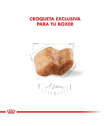 Alimento para perros Royal Canin Boxer  Junior 12kg