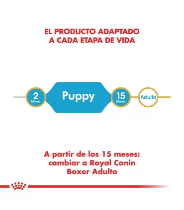 Alimento para perros Royal Canin Boxer  Junior 12kg