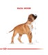 Alimento para perros Royal Canin Boxer  Junior 12kg