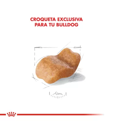 Alimento para perros Royal Canin Bulldog 12kg