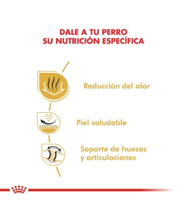 Alimento para perros Royal Canin Bulldog 12kg