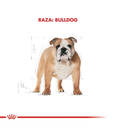 Alimento para perros Royal Canin Bulldog 12kg