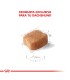 Alimento para perros Royal Canin Dachshund 3kg