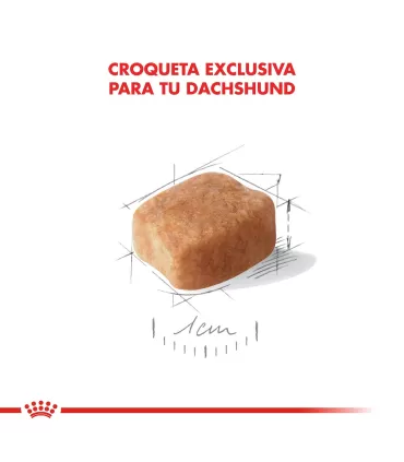 Alimento para perros Royal Canin Dachshund 3kg