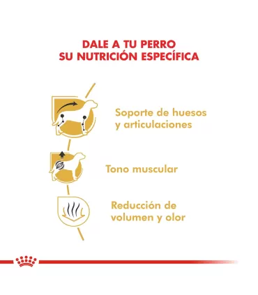 Alimento para perros Royal Canin Dachshund 3kg
