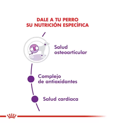 Alimento para perros Royal Canin Giant Adult 15kg