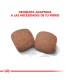 Alimento para perros Royal Canin Giant Adult 15kg