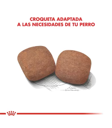Alimento para perros Royal Canin Giant Adult 15kg