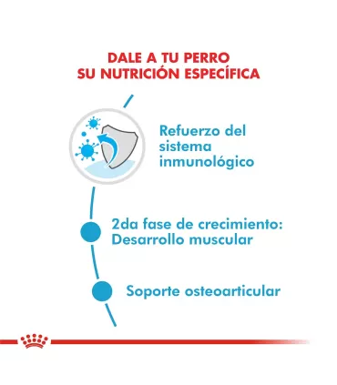 Alimento para perros Royal Canin Giant Junior 15kg