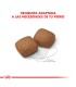 Alimento para perros Royal Canin Giant Junior 15kg