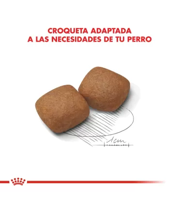 Alimento para perros Royal Canin Giant Junior 15kg
