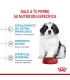 Royal Canin Giant Puppy 15kg: Nutrición Premium para Cachorros Gigantes