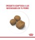 Royal Canin Giant Puppy 15kg: Nutrición Premium para Cachorros Gigantes