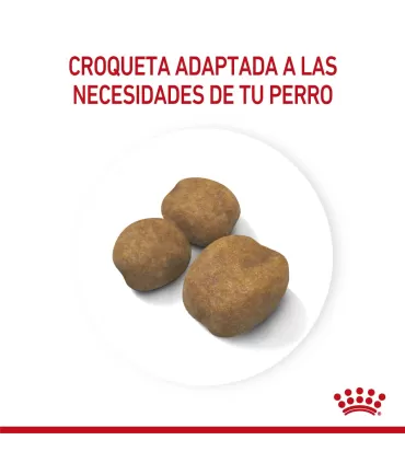 Royal Canin Giant Puppy 15kg: Nutrición Premium para Cachorros Gigantes