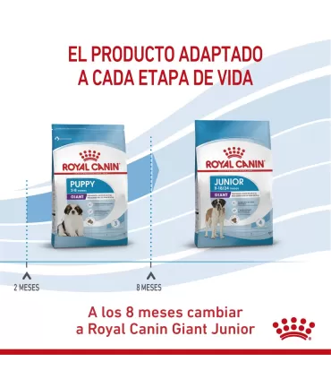 Royal Canin Giant Puppy 15kg: Nutrición Premium para Cachorros Gigantes