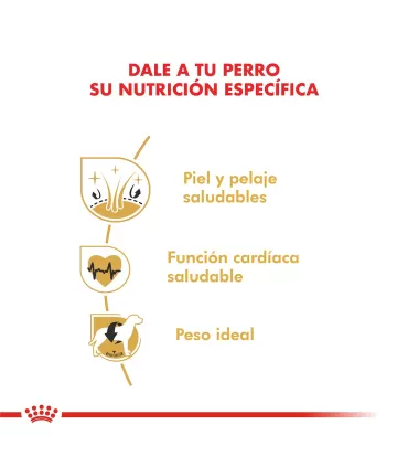 Alimento para perros Royal Canin Golden 12kg