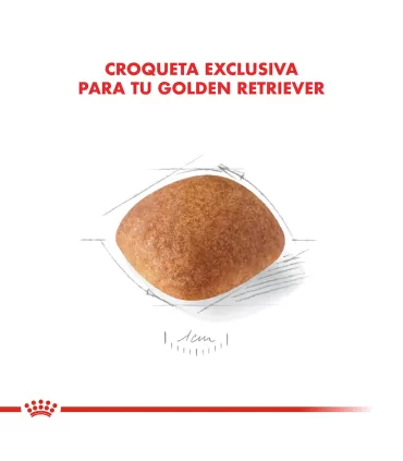 Alimento para perros Royal Canin Golden 12kg