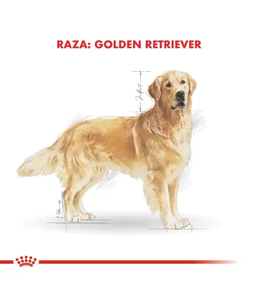 Alimento para perros Royal Canin Golden 12kg