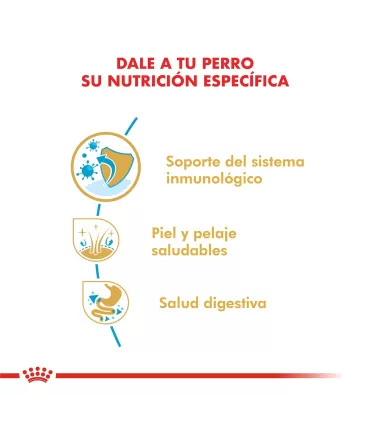 Alimento para perros Royal Canin Labrador Junior 12kg