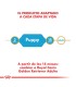 Alimento para perros Royal Canin Labrador Junior 12kg