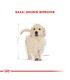 Alimento para perros Royal Canin Labrador Junior 12kg