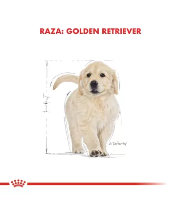 Alimento para perros Royal Canin Labrador Junior 12kg
