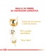 Royal Canin Labrador Adult 12kg | Alimento Premium para Perros Adultos
