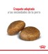 Royal Canin Maxi Adult 3kg: Nutrición Premium para Perros Grandes