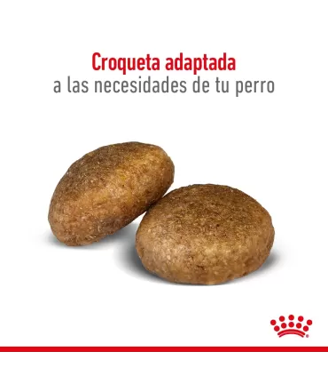 Royal Canin Maxi Adult 3kg: Nutrición Premium para Perros Grandes