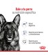 Royal Canin Maxi Adult 3kg: Nutrición Premium para Perros Grandes