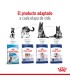 Royal Canin Maxi Adult 3kg: Nutrición Premium para Perros Grandes