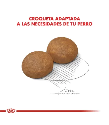 Alimento para perros Royal Canin Maxi Adult 5+ 15kg