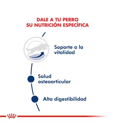 Alimento para perros Royal Canin Maxi Adult 5+ 15kg